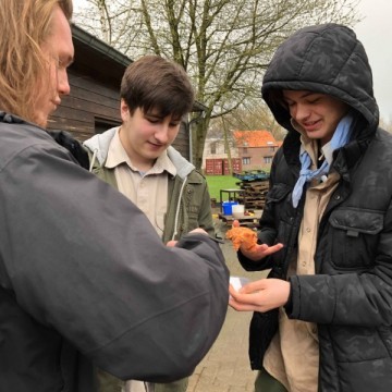 75255 989502604593069 3404035313230675968 n - Scouts en Gidsen Zaventem 